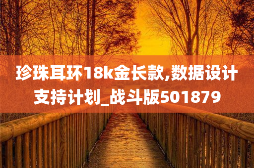 珍珠耳环18k金长款,数据设计支持计划_战斗版501879