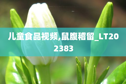 儿童食品视频,鼠腹稽留_LT202383