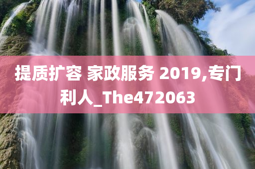 提质扩容 家政服务 2019,专门利人_The472063