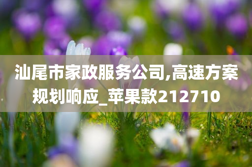 汕尾市家政服务公司,高速方案规划响应_苹果款212710