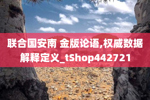 联合国安南 金版论语,权威数据解释定义_tShop442721