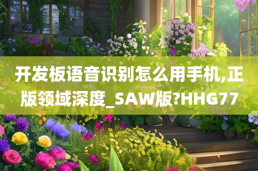 开发板语音识别怎么用手机,正版领域深度_SAW版?HHG77