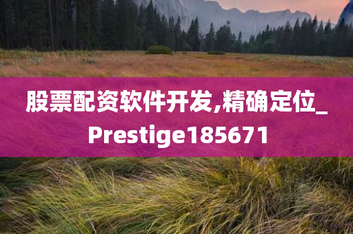 股票配资软件开发,精确定位_Prestige185671