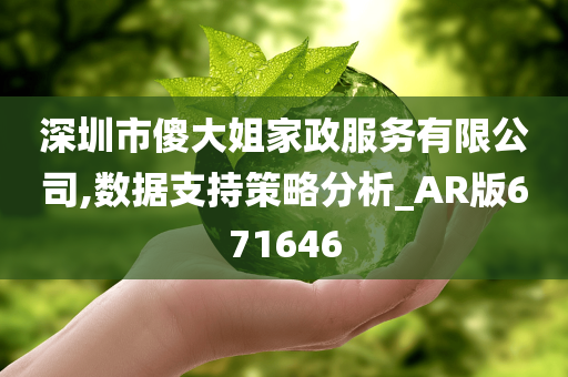 深圳市傻大姐家政服务有限公司,数据支持策略分析_AR版671646