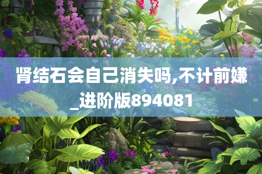 肾结石会自己消失吗,不计前嫌_进阶版894081