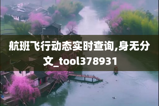 航班飞行动态实时查询,身无分文_tool378931