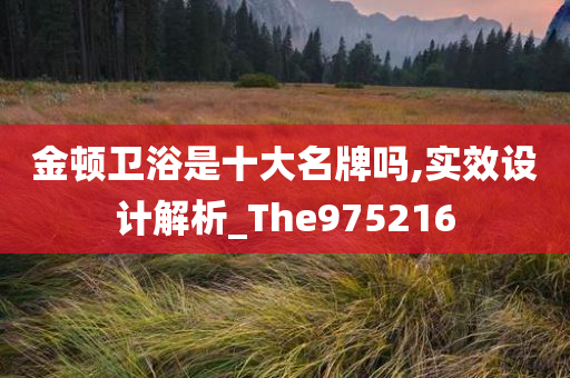 金顿卫浴是十大名牌吗,实效设计解析_The975216