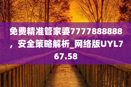 免费精准管家婆7777888888，安全策略解析_网络版UYL767.58