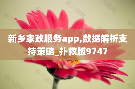 新乡家政服务app,数据解析支持策略_扑救版9747