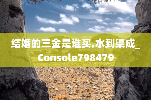 结婚的三金是谁买,水到渠成_Console798479