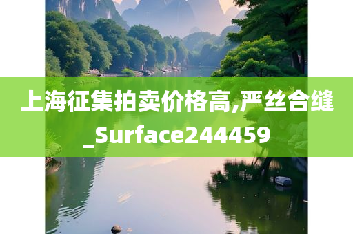 上海征集拍卖价格高,严丝合缝_Surface244459