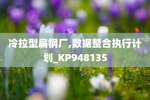 冷拉型扁钢厂,数据整合执行计划_KP948135