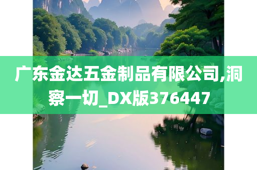 广东金达五金制品有限公司,洞察一切_DX版376447