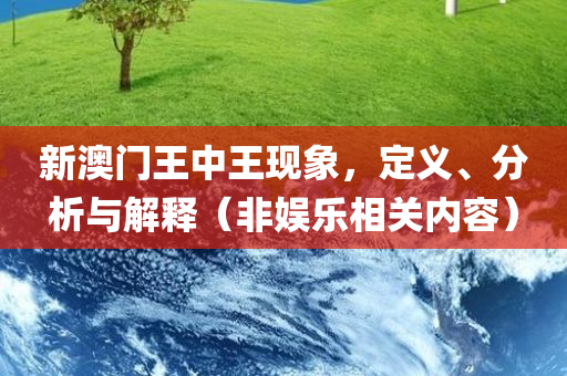 新澳门王中王现象，定义、分析与解释（非娱乐相关内容）