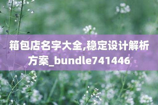 箱包店名字大全,稳定设计解析方案_bundle741446