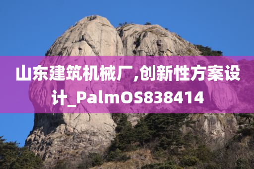 山东建筑机械厂,创新性方案设计_PalmOS838414