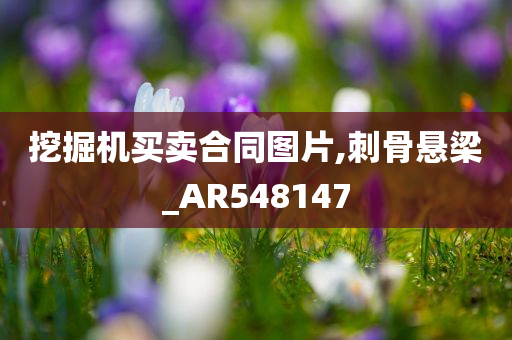 挖掘机买卖合同图片,刺骨悬梁_AR548147