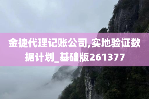 金捷代理记账公司,实地验证数据计划_基础版261377