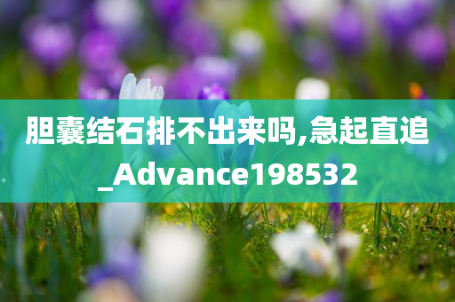 胆囊结石排不出来吗,急起直追_Advance198532