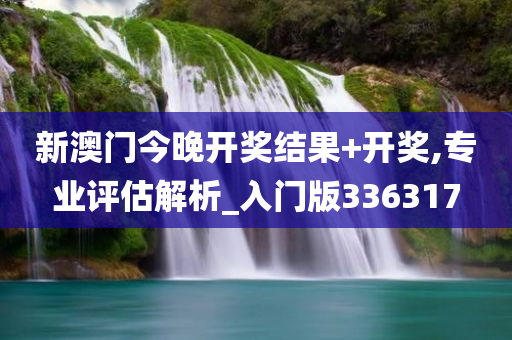 新澳门今晚开奖结果+开奖,专业评估解析_入门版336317