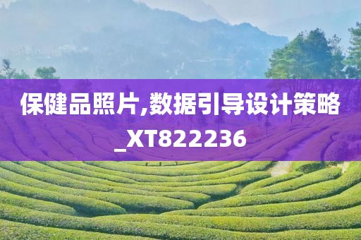 保健品照片,数据引导设计策略_XT822236