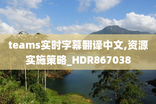 teams实时字幕翻译中文,资源实施策略_HDR867038