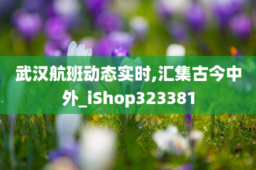 武汉航班动态实时,汇集古今中外_iShop323381