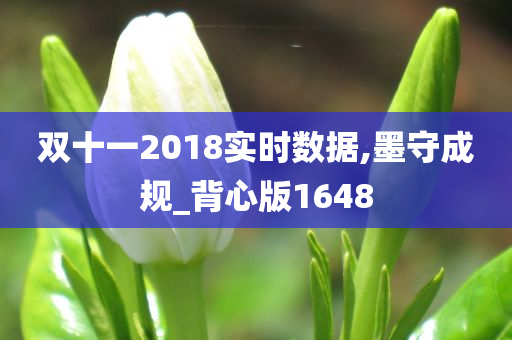 双十一2018实时数据,墨守成规_背心版1648