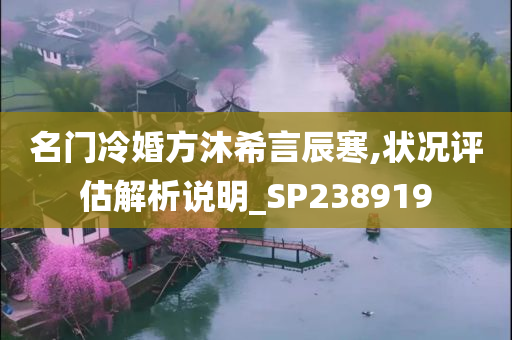 名门冷婚方沐希言辰寒,状况评估解析说明_SP238919