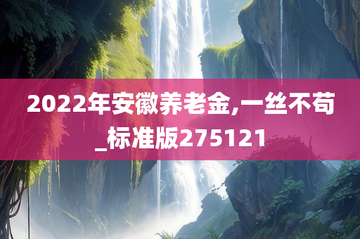 2022年安徽养老金,一丝不苟_标准版275121