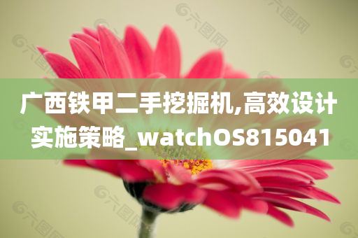 广西铁甲二手挖掘机,高效设计实施策略_watchOS815041