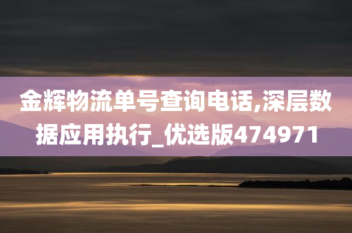 金辉物流单号查询电话,深层数据应用执行_优选版474971