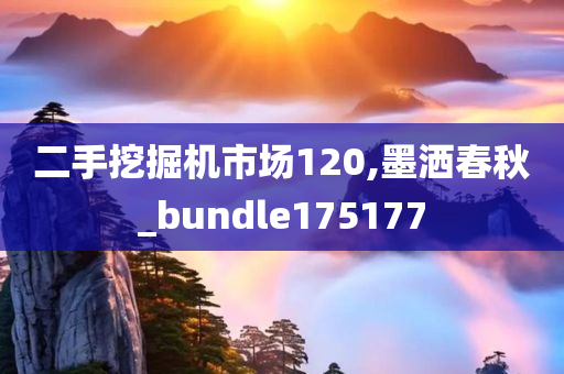 二手挖掘机市场120,墨洒春秋_bundle175177