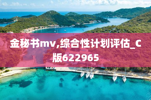 金秘书mv,综合性计划评估_C版622965