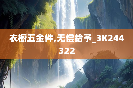 衣橱五金件,无偿给予_3K244322