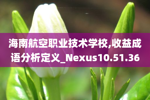 海南航空职业技术学校,收益成语分析定义_Nexus10.51.36