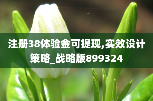 注册38体验金可提现,实效设计策略_战略版899324