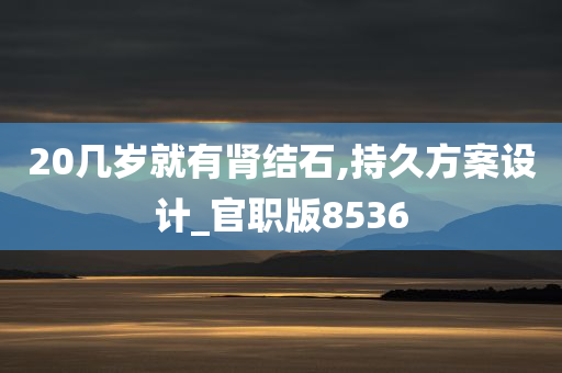 20几岁就有肾结石,持久方案设计_官职版8536