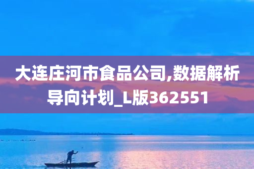 大连庄河市食品公司,数据解析导向计划_L版362551