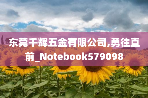 东莞千辉五金有限公司,勇往直前_Notebook579098