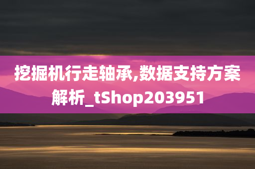 挖掘机行走轴承,数据支持方案解析_tShop203951