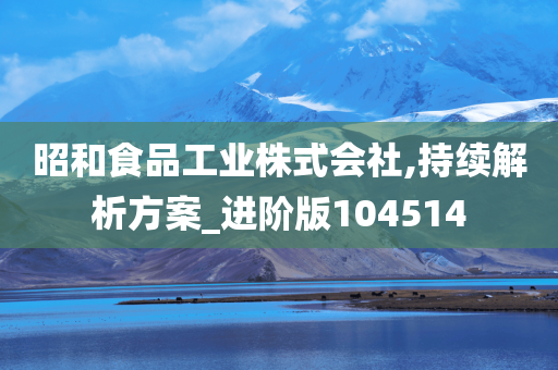 昭和食品工业株式会社,持续解析方案_进阶版104514