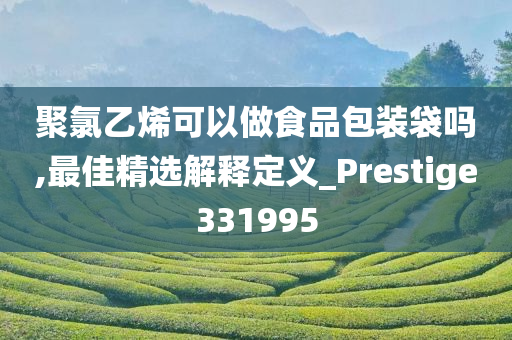 聚氯乙烯可以做食品包装袋吗,最佳精选解释定义_Prestige331995