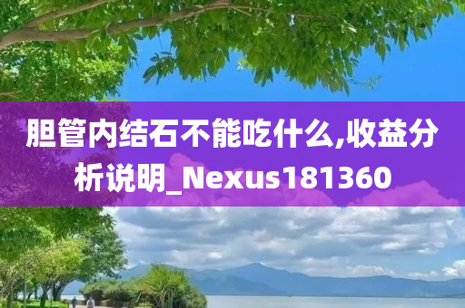 胆管内结石不能吃什么,收益分析说明_Nexus181360