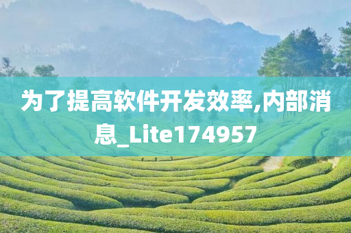 为了提高软件开发效率,内部消息_Lite174957