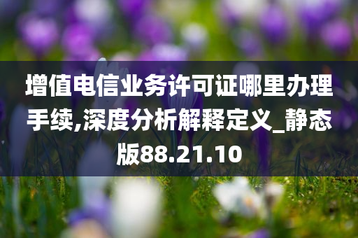 增值电信业务许可证哪里办理手续,深度分析解释定义_静态版88.21.10