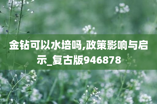 金钻可以水培吗,政策影响与启示_复古版946878