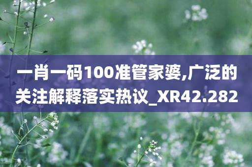 一肖一码100准管家婆,广泛的关注解释落实热议_XR42.282