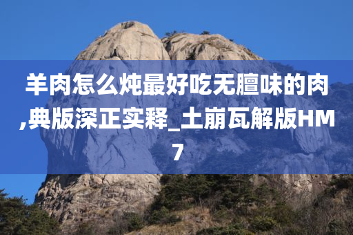 羊肉怎么炖最好吃无膻味的肉,典版深正实释_土崩瓦解版HM7