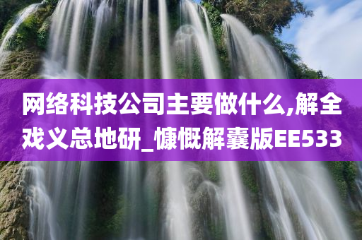 网络科技公司主要做什么,解全戏义总地研_慷慨解囊版EE533